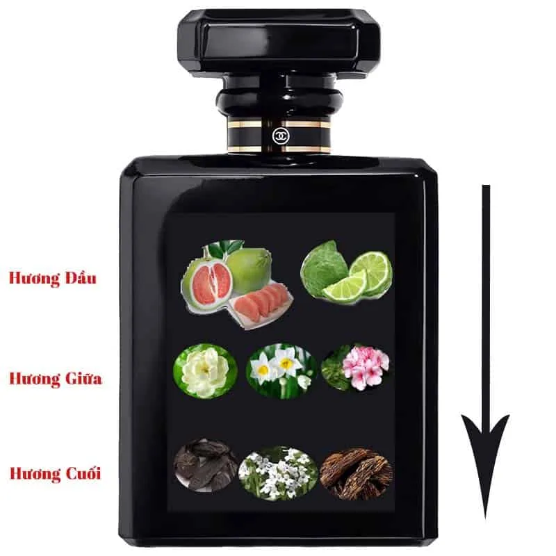 Các tầng hương trong nước hoa authentic chuẩn Pháp