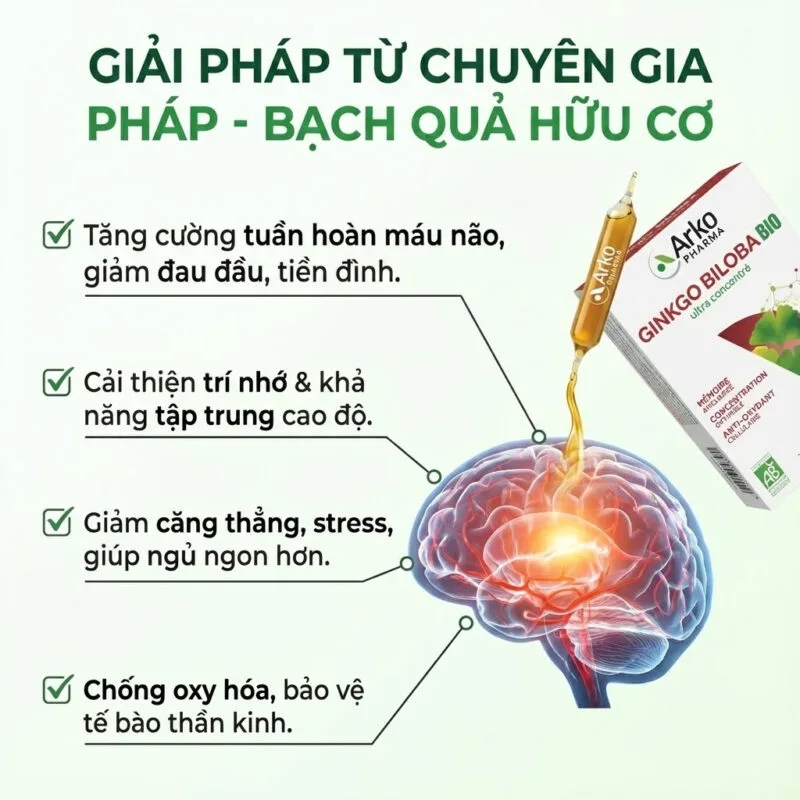 Công dụng Viên Uống Bổ Não ArkoPharma Arkofluides Ginkgo Biloba