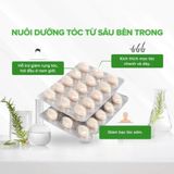 Công dụng của Viên uống chống rụng tóc Arkopharma Forcapil dùng như thế nào