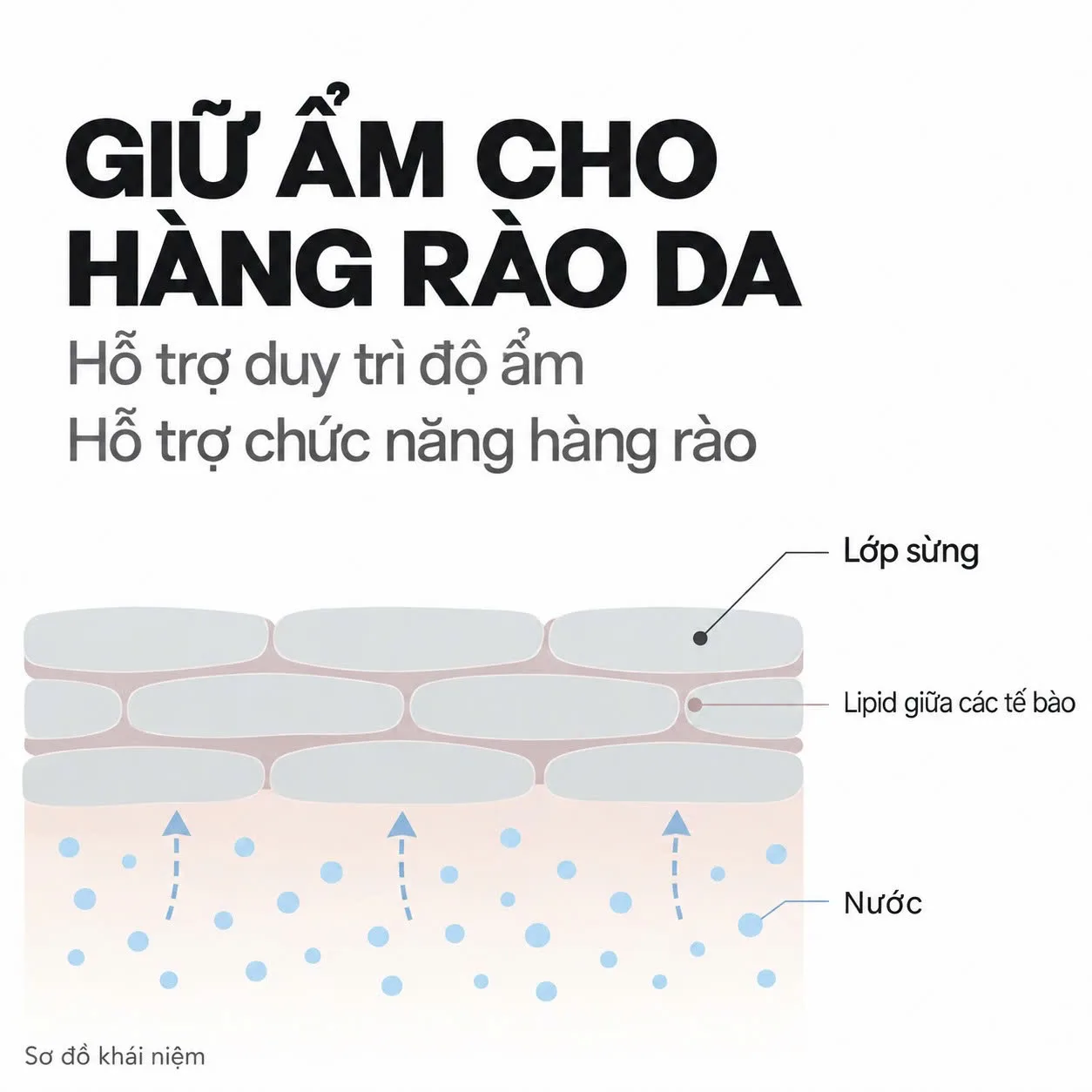 Công dụng làm dịu dưỡng ẩm và hỗ trợ phục hồi da của Toskani Total Recovery Gel