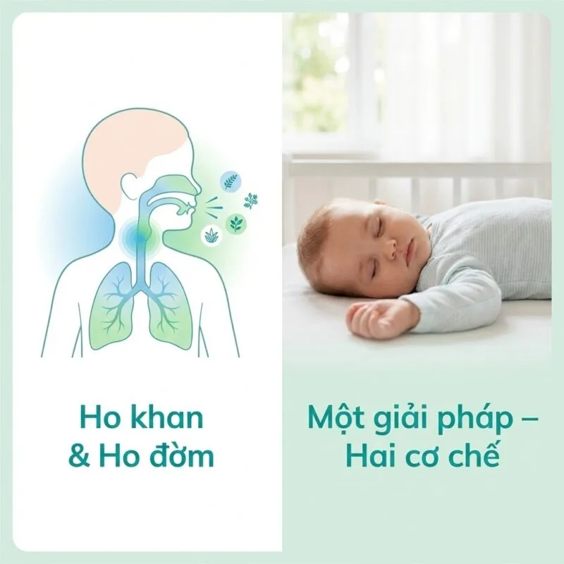 Công Dụng Siro ho trẻ em Puressentiel Respiratory Cough Syrup