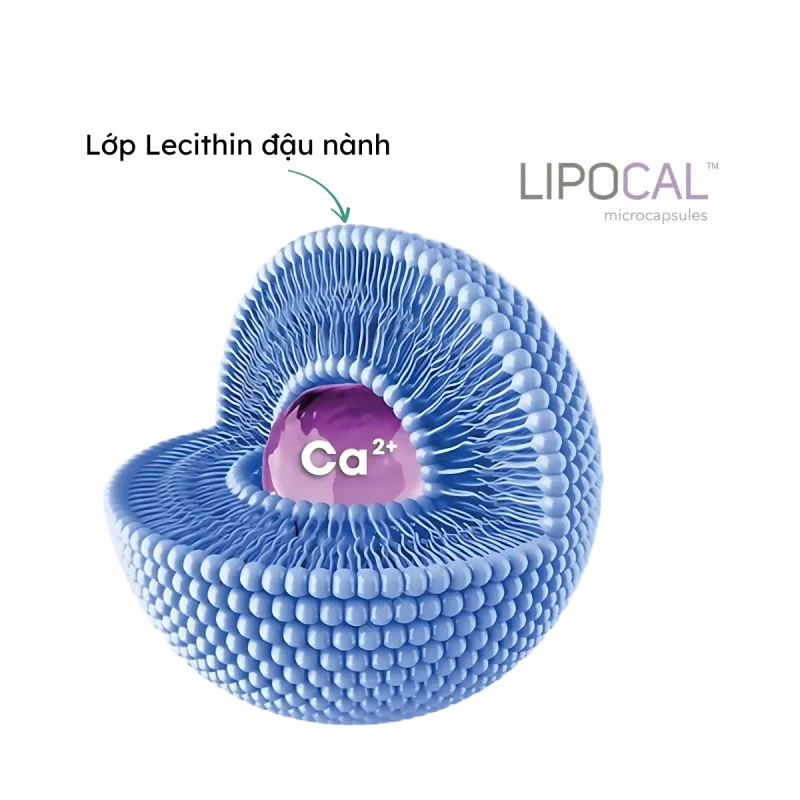 Công nghệ canxi lipocal