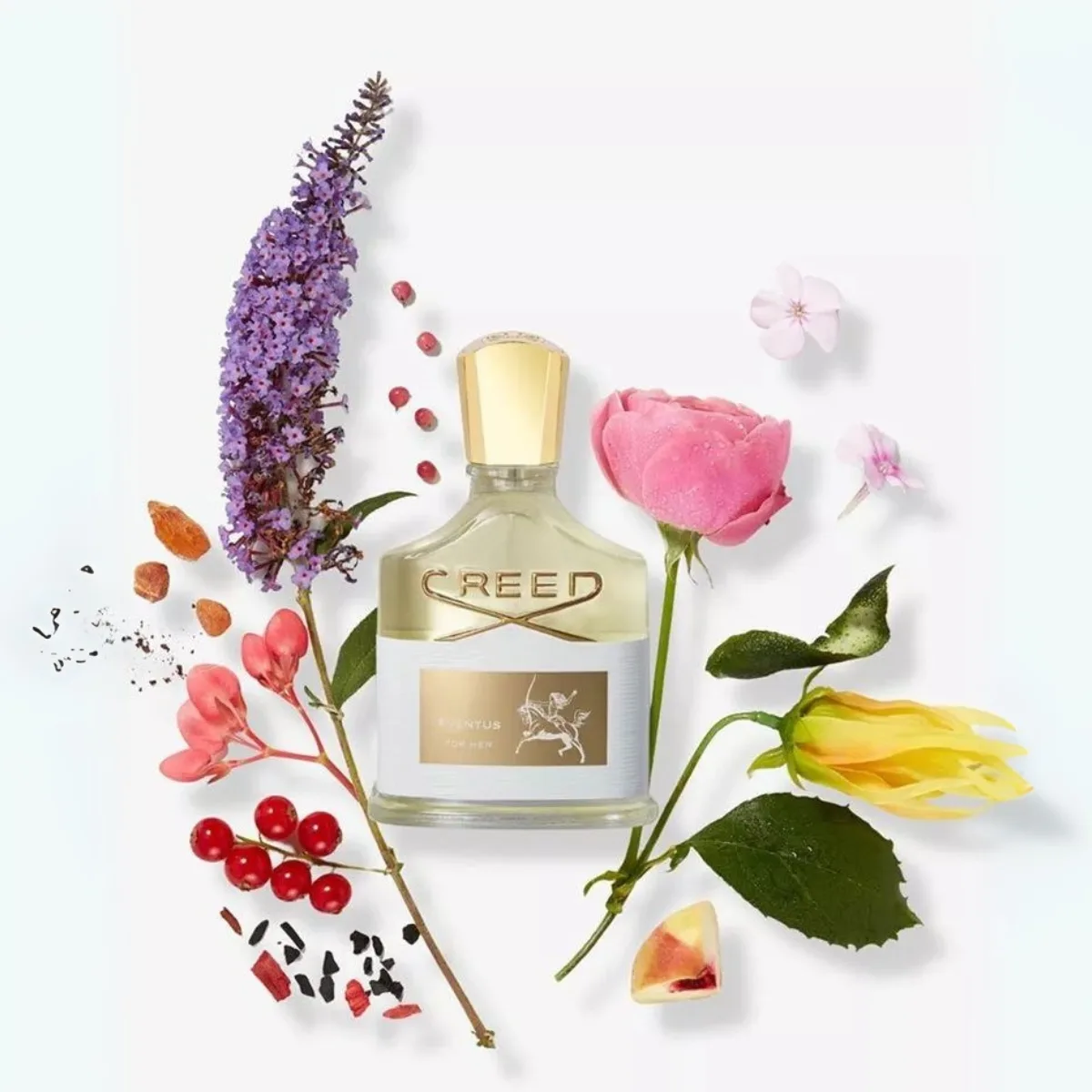 Creed Aventus for Her