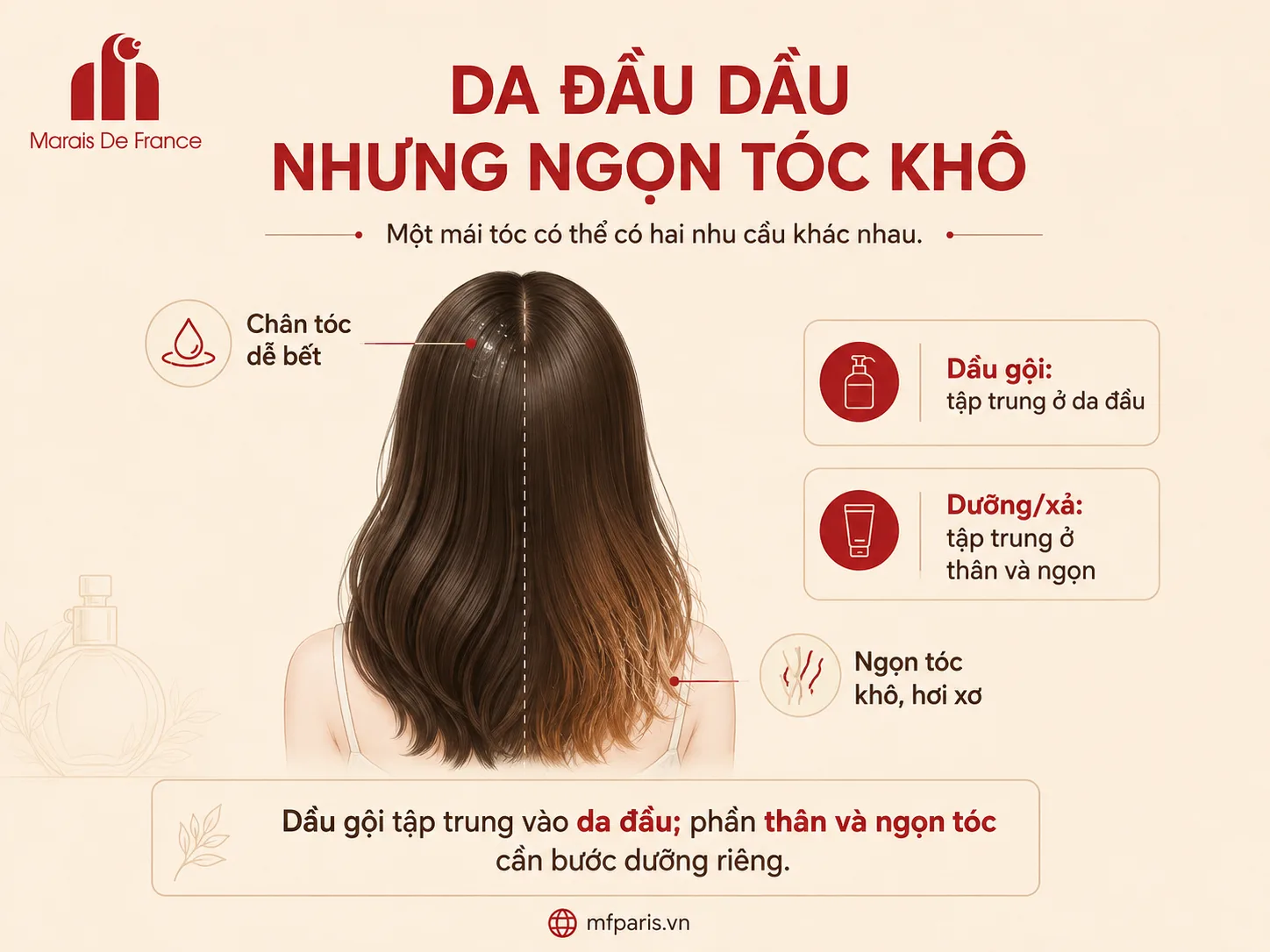 Da đầu dầu nhưng ngọn tóc khô cần chăm sóc khác nhau