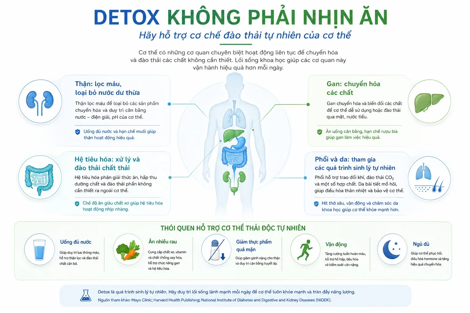 Detox cơ thể và quá trình đào thải tự nhiên qua thận gan và hệ tiêu hóa