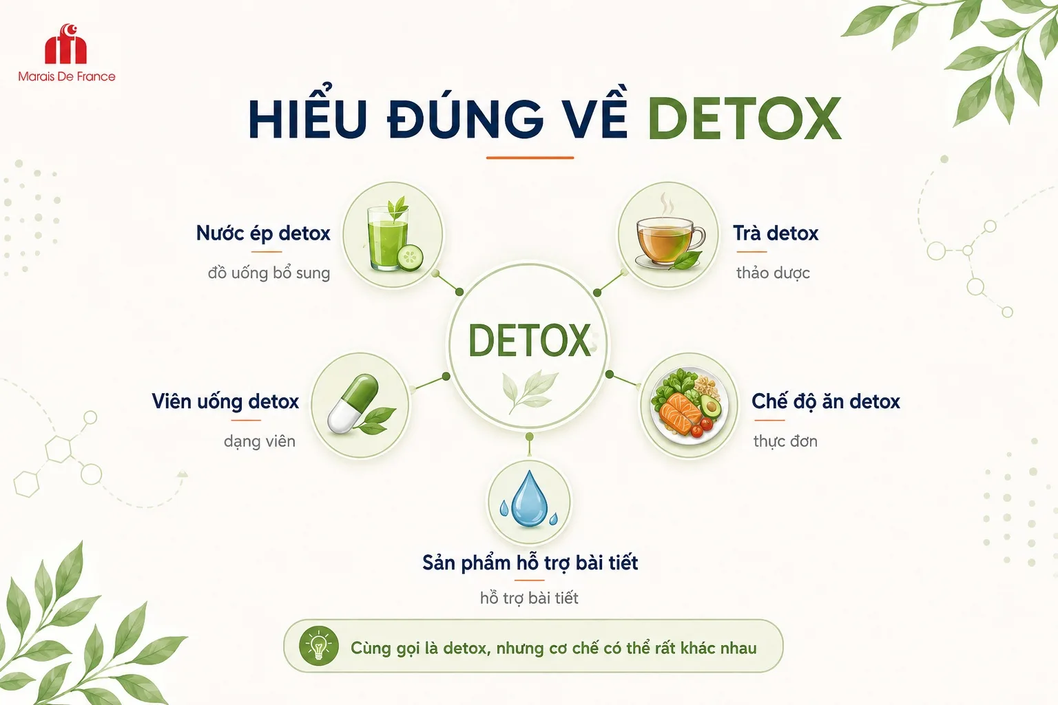 Detox là gì và các dạng detox phổ biến hiện nay