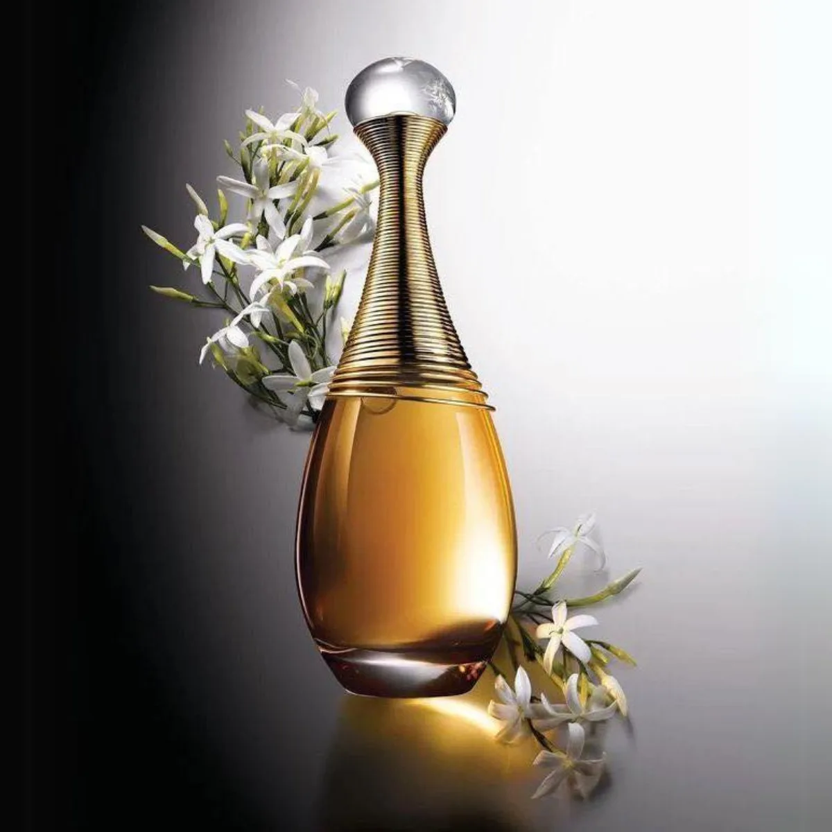 dior jadore edp