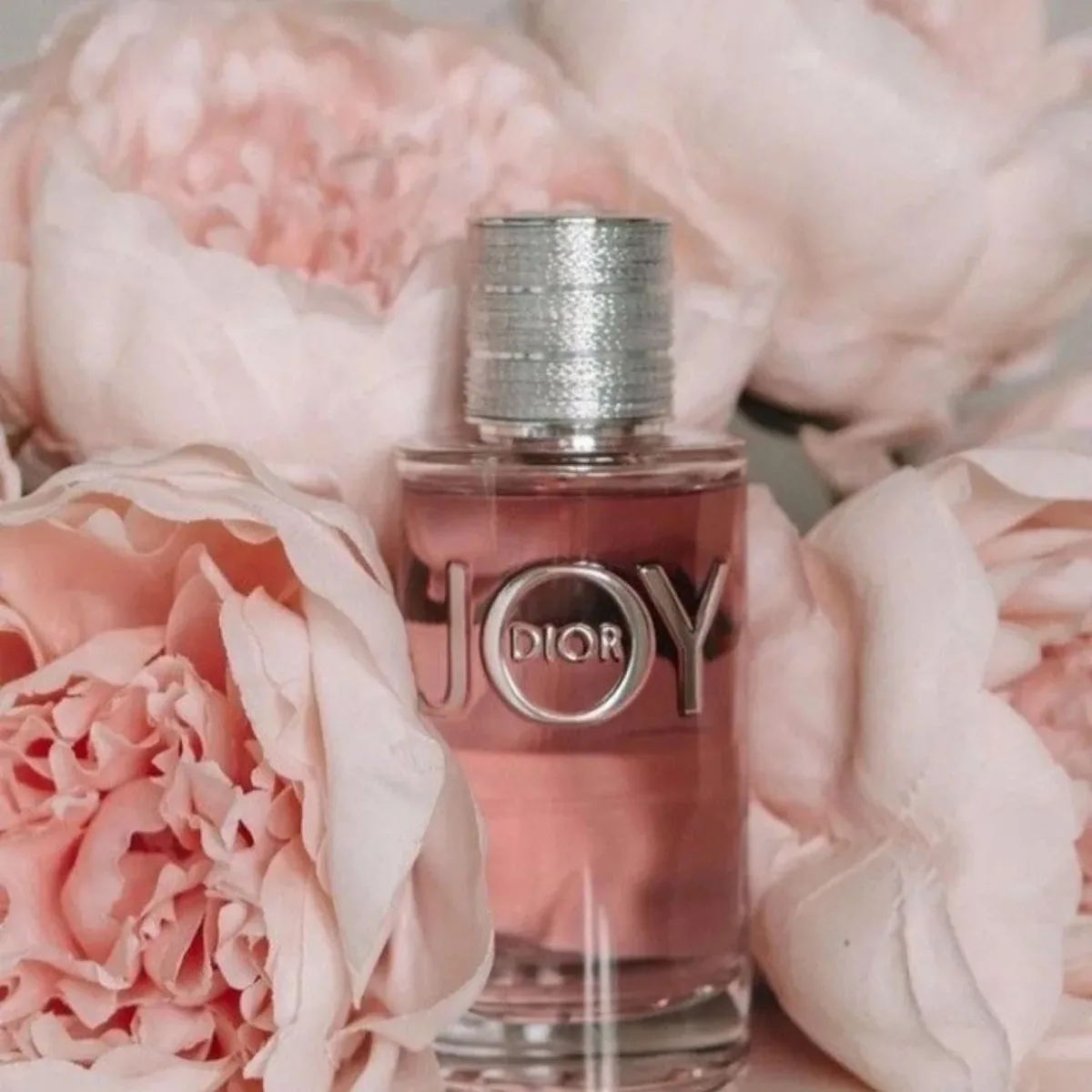 dior joy edp