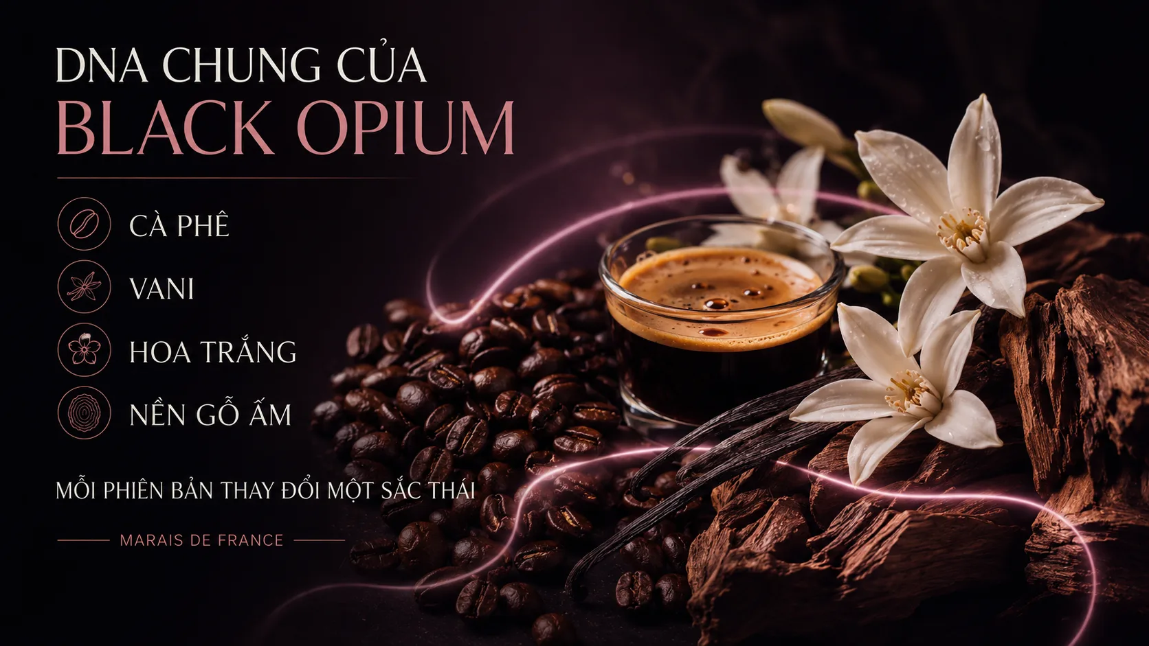 Cà phê, vani, hoa trắng và nền gỗ ấm trong DNA YSL Black Opium