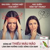 Đối Tượng Sử Dụng Viên Uống Bổ Não ArkoPharma Arkofluides Ginkgo Biloba Chính hãng
