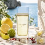 Nước Hoa Dolce & Gabbana Light Blue Pour Femme EDP
