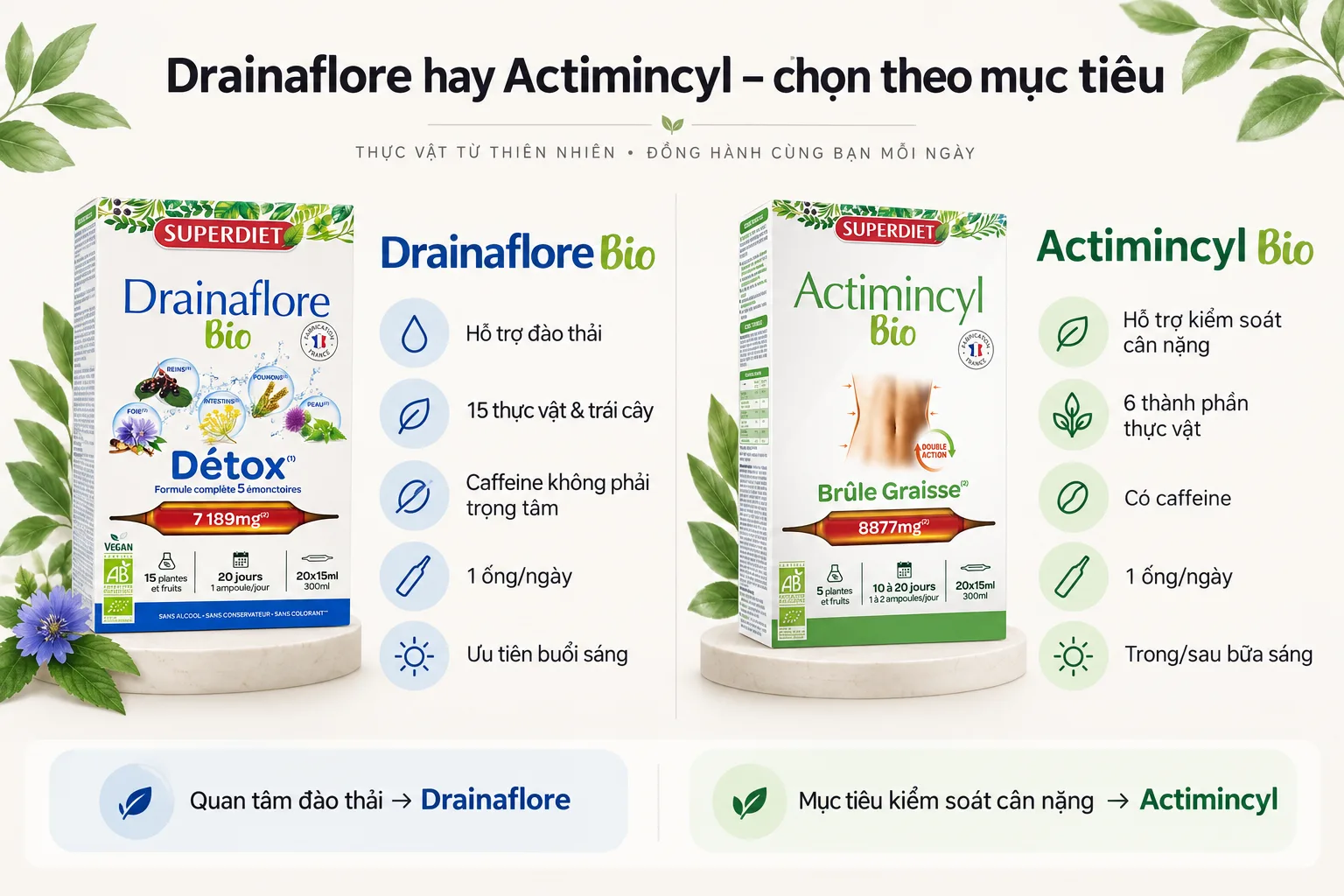 So sánh Superdiet Drainaflore Bio và Actimincyl Bio theo nhu cầu sử dụng
