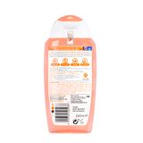 Dung Dịch Vệ Sinh Phụ Nữ Femfresh Daily Wash 250ml, Mặt sau