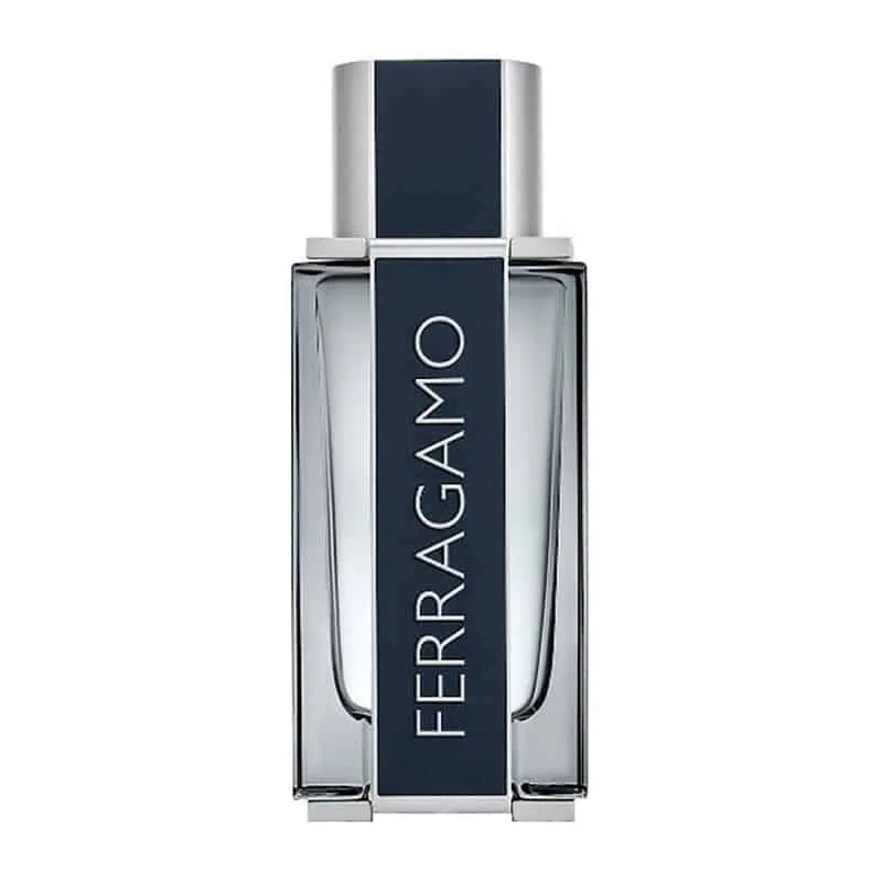 Salvatore Ferragamo Ferragamo For Men