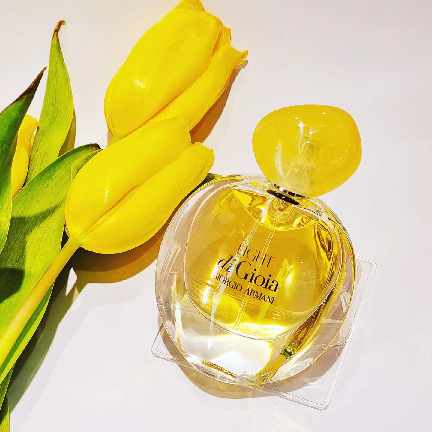 Giorgio Armani Light di Gioia