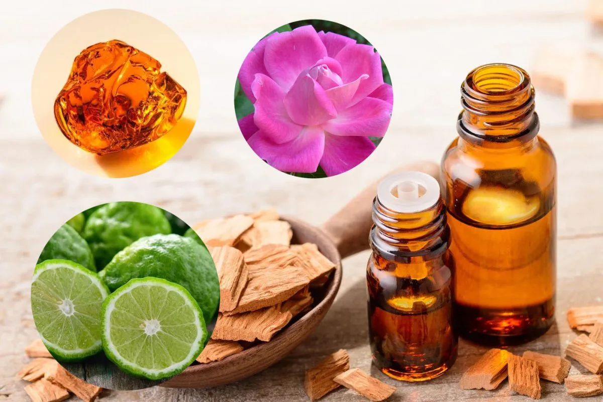 Hương gỗ đàn hương kết hợp với mùi hương nào