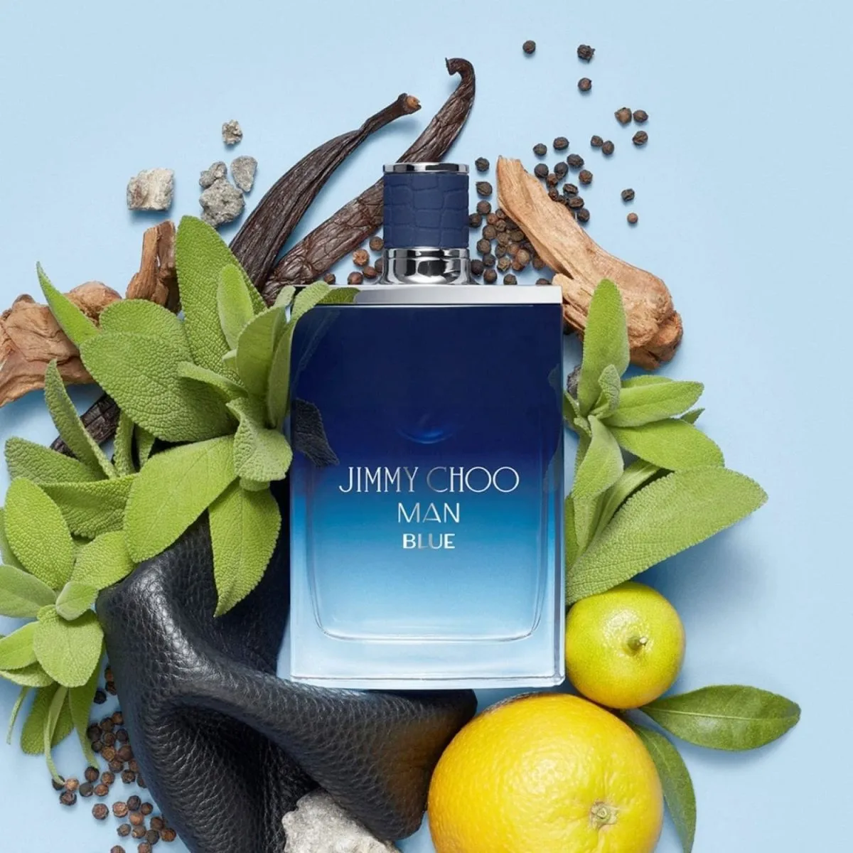 Jimmy choo man blue