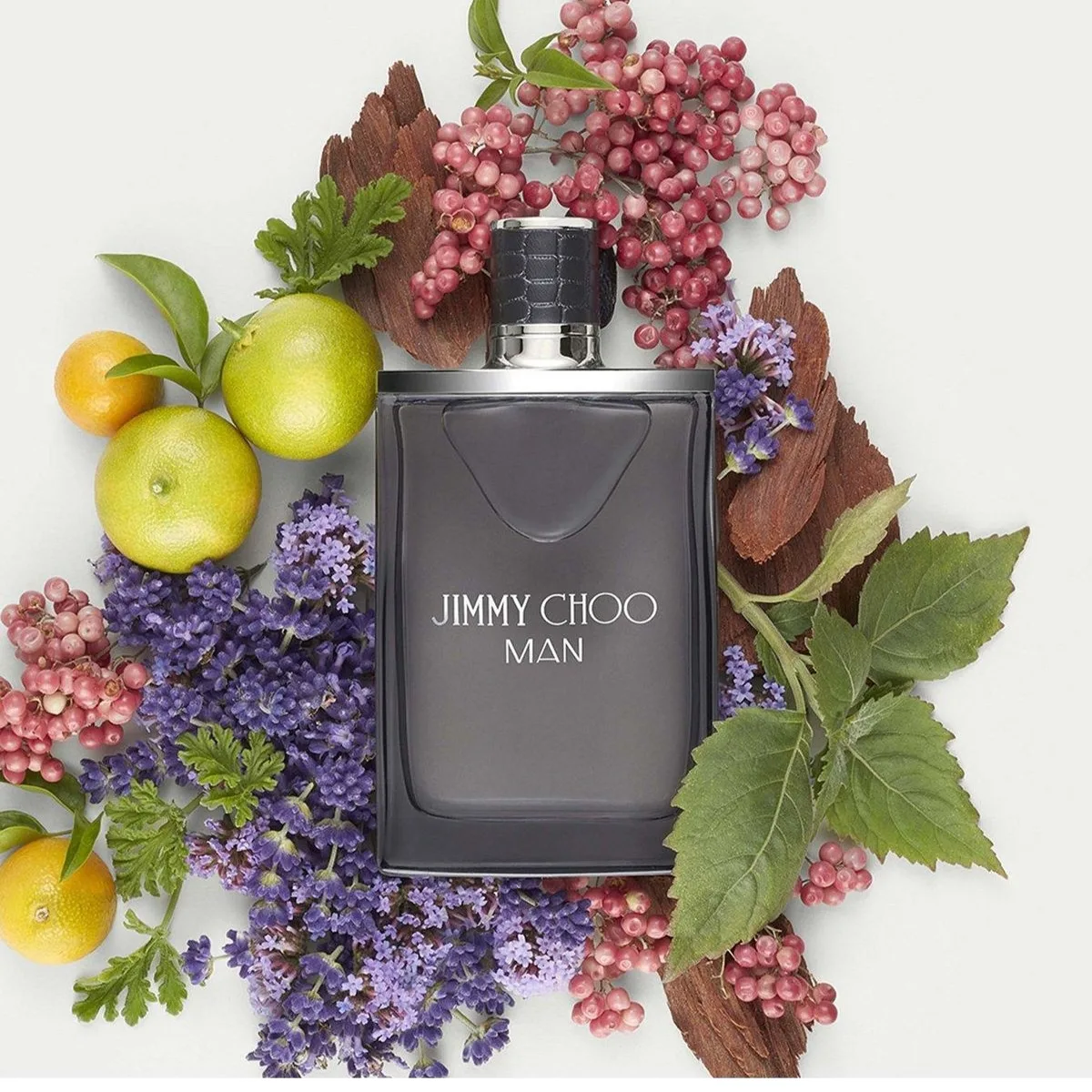 Jimmy choo man edt