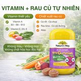 Kẹo Dẻo Vitamin Tổng Hợp Và Rau Củ Nature's Way Kids Smart Multivitamin + Vegies Thành Phần