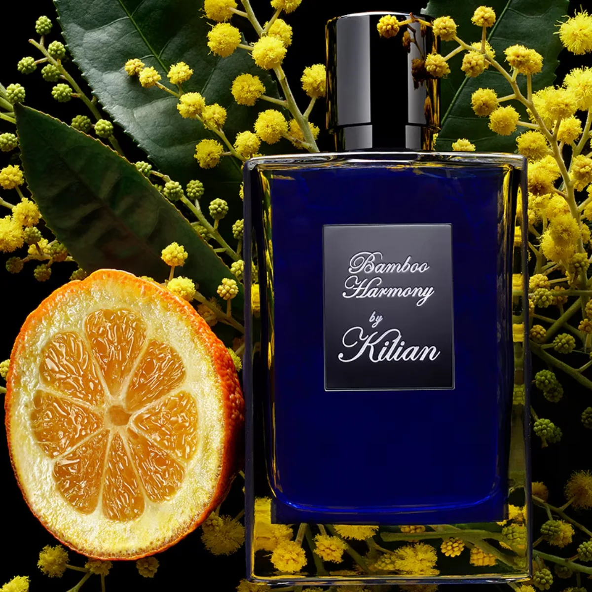 kilian bamboo harmony