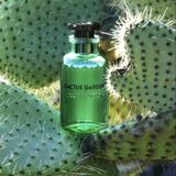 Cactus Garden