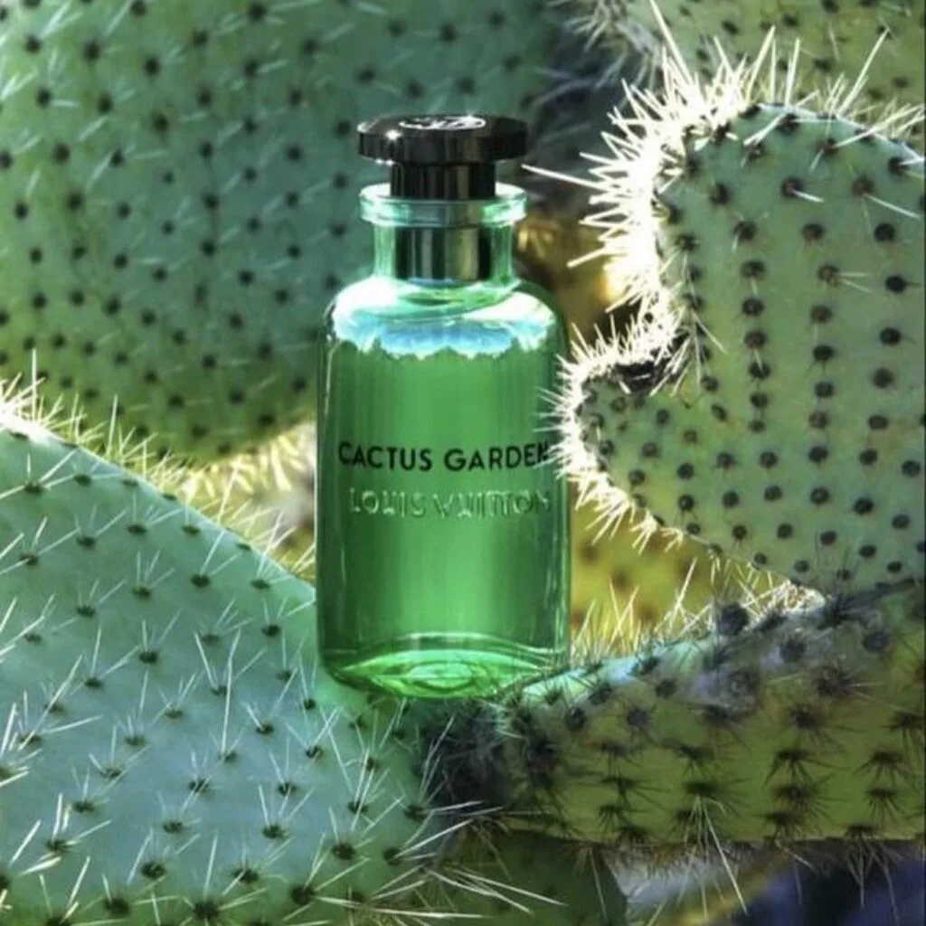 Cactus Garden