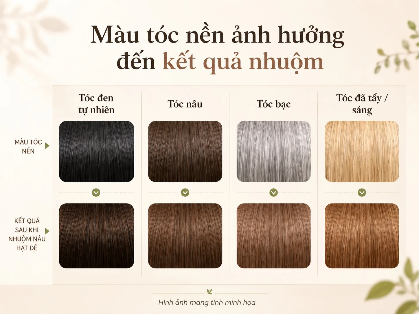Minh họa kết quả nhuộm khác nhau trên tóc đen, tóc nâu, tóc bạc và tóc đã tẩy