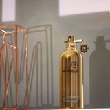 Aoud Leather