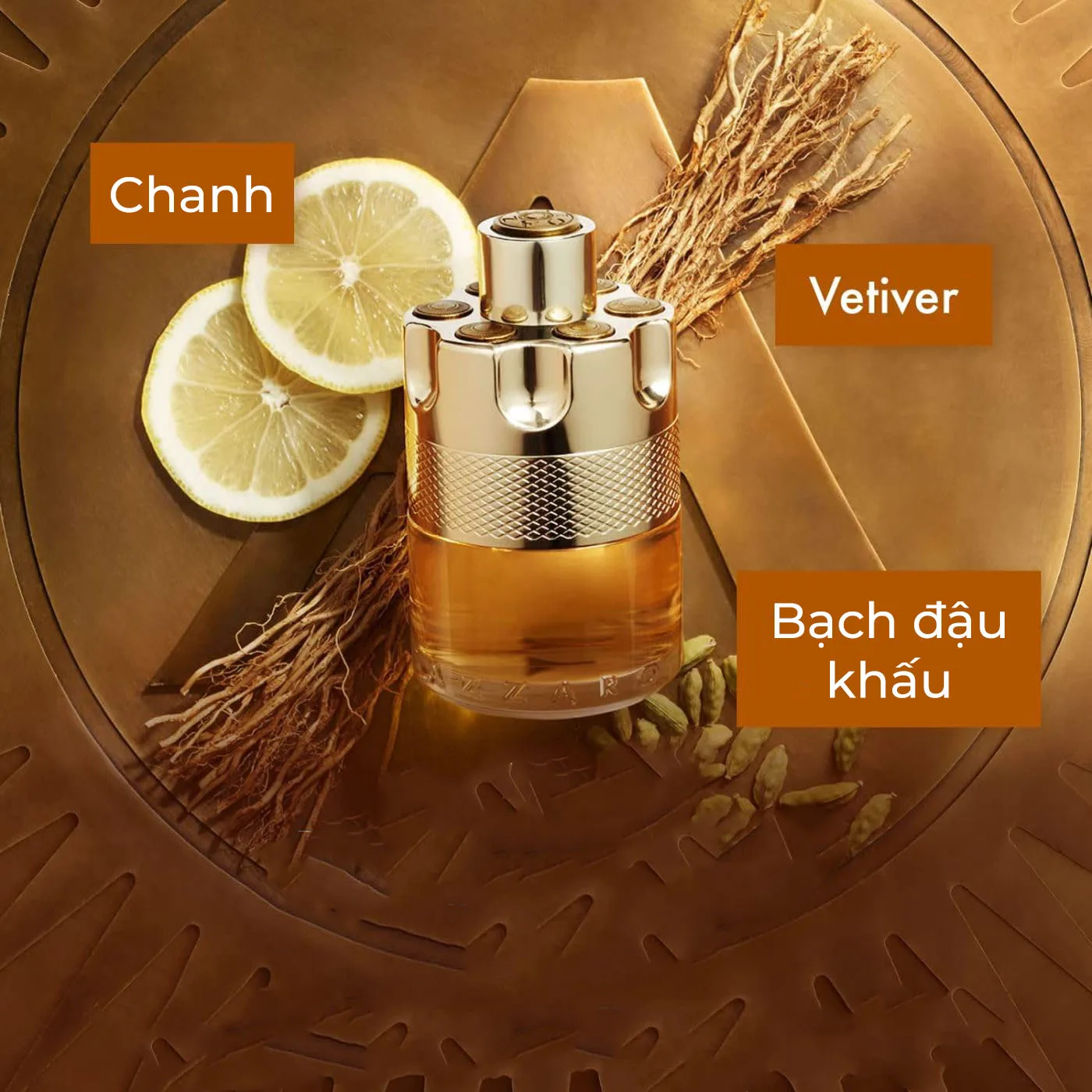 Mùi hương Azzaro Wanted Eau de Toilette