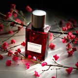 Mùi hương Banana Republic Dark Cherry & Amber