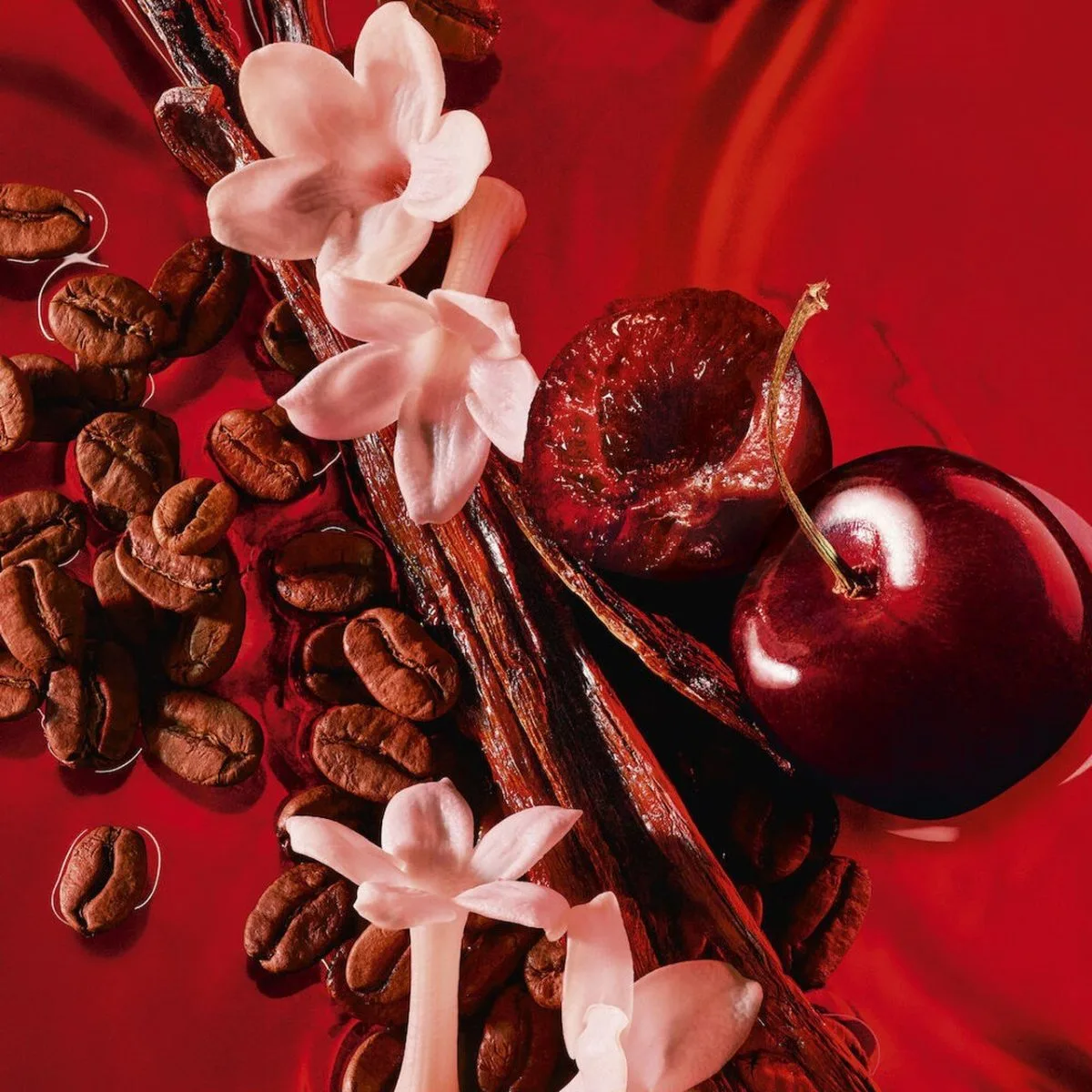 Mùi Hương Black Opium Over Red