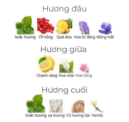 Mùi hương nước hoa Chanel Chance