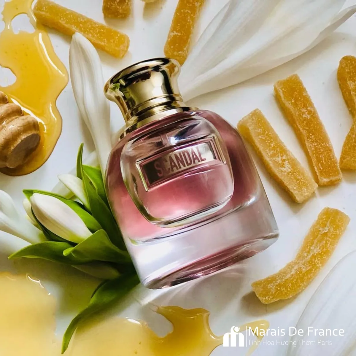 Các nốt hương chính trong nước hoa Scandal EDP
