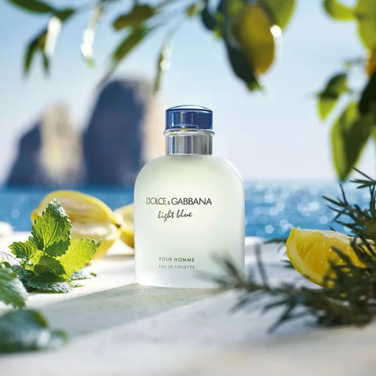 Mùi hương đặc trưng của nước hoa Dolce & Gabbana
