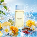 Mùi Hương Dolce & Gabbana Light Blue Pour Femme EDP