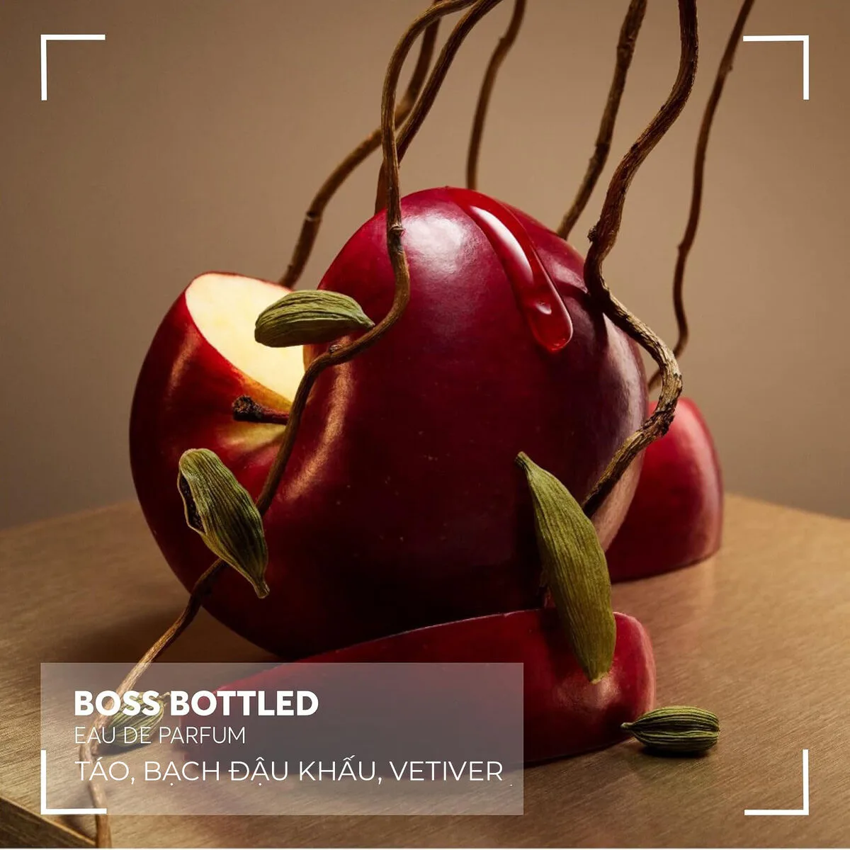 Mùi hương Hugo Boss Bottled EDP