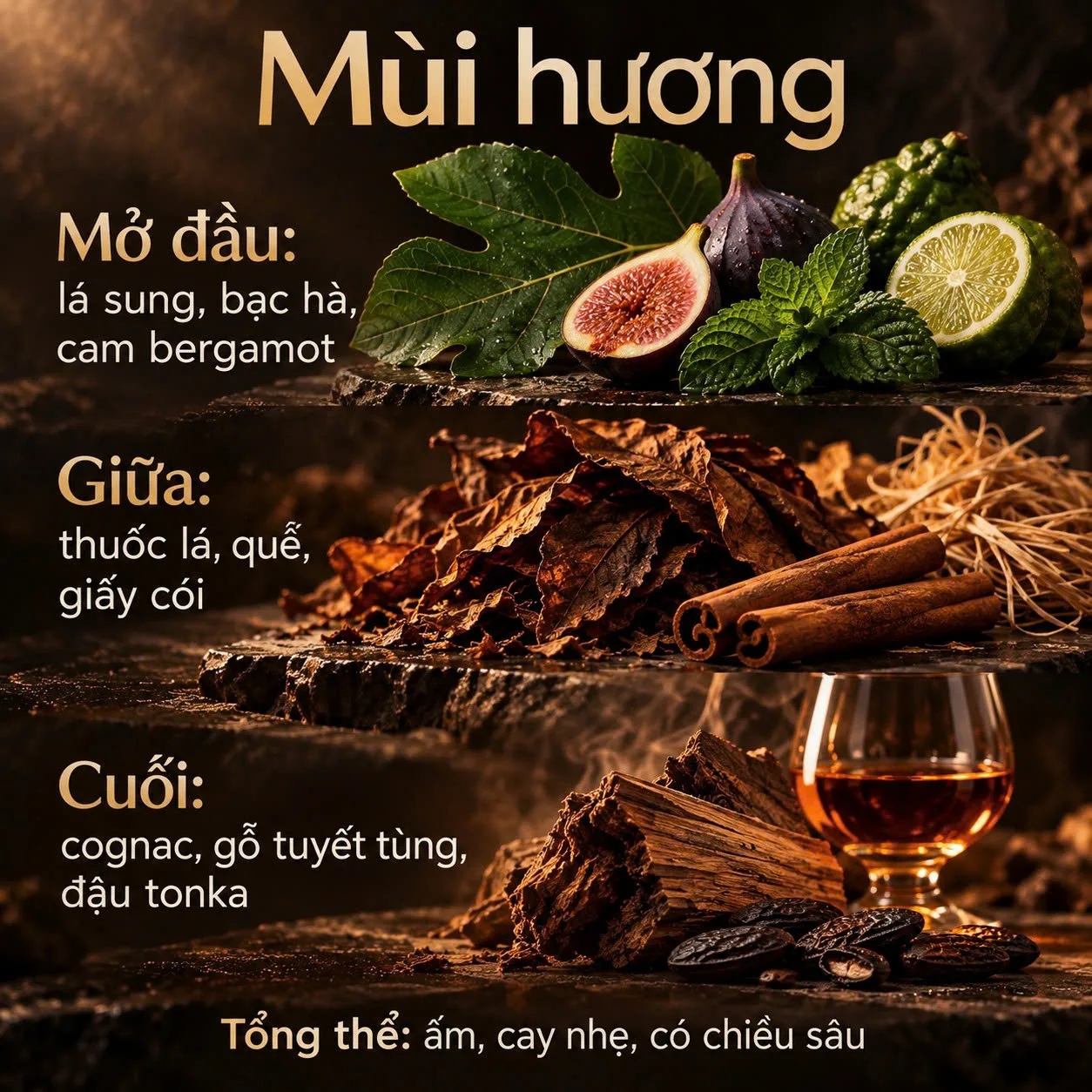 Mùi hương Lalique Ombre Noire