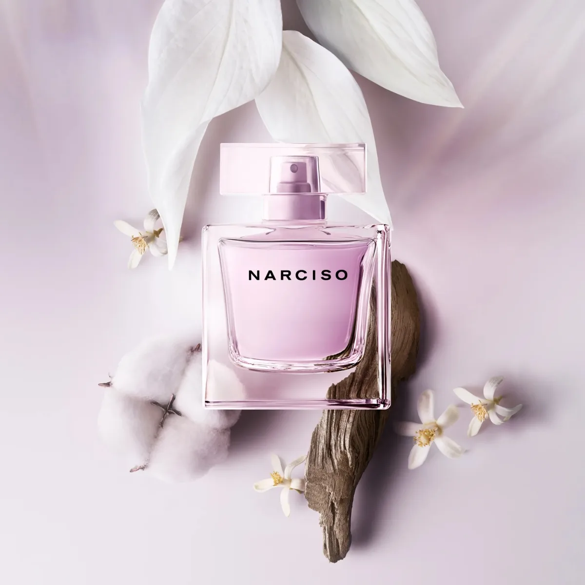 Mùi Hương Narciso Eau de Parfum Radiante