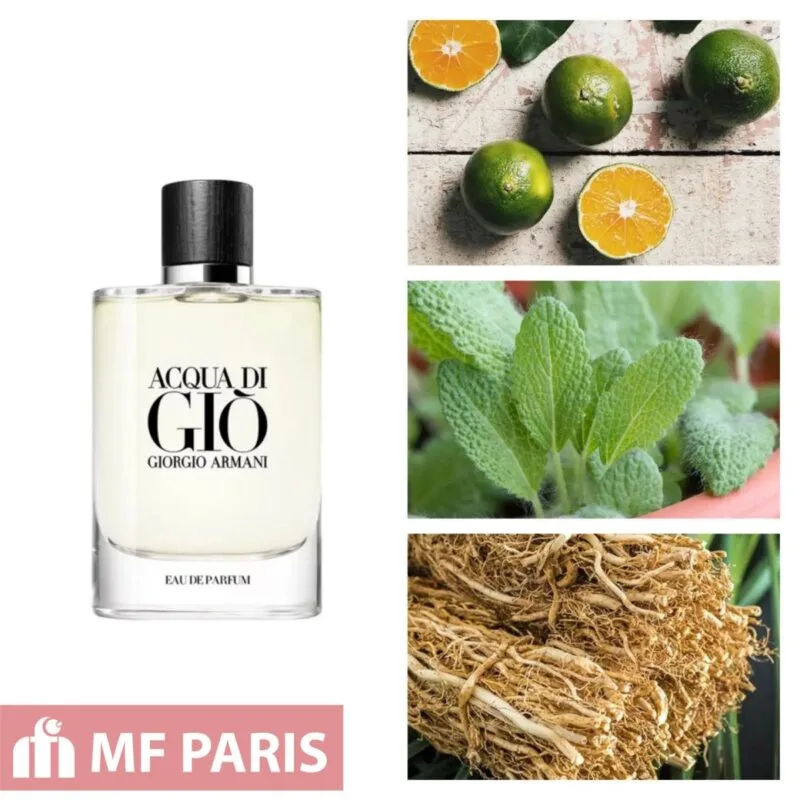 Mùi hương nước hoa acqua di gio eau de parfum