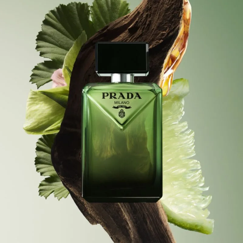 Mùi hương Prada Paradigme Eau de Parfum