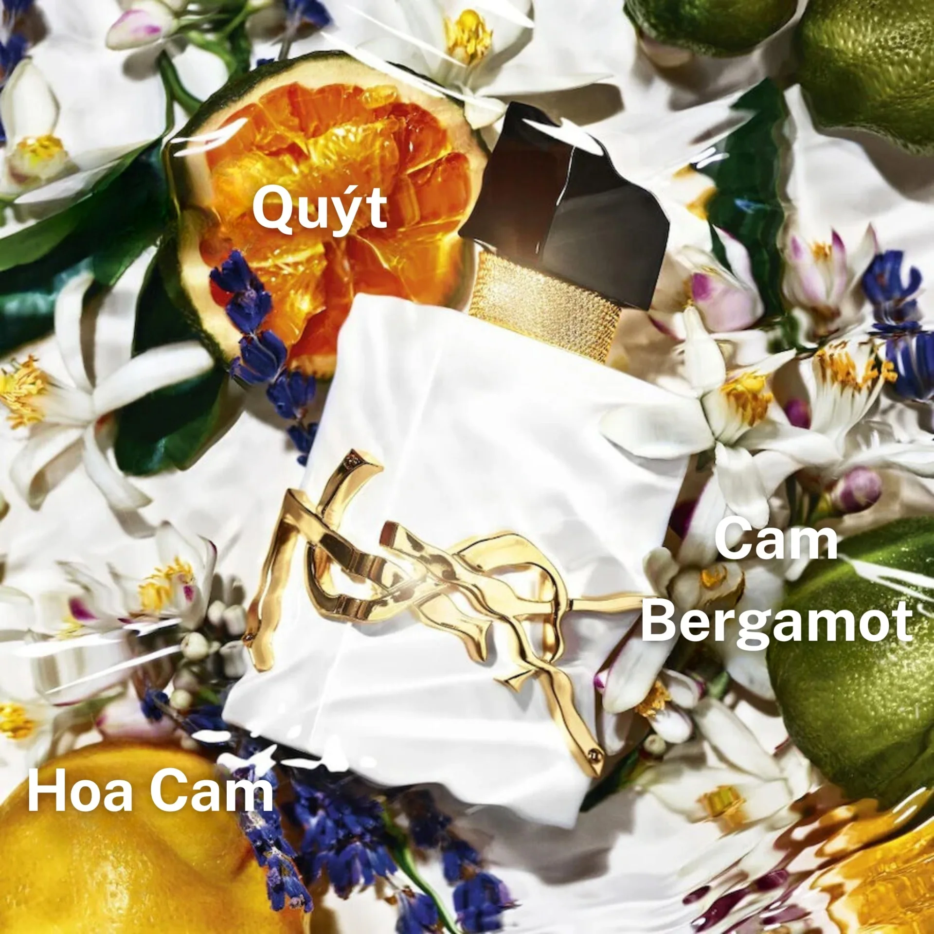 Mùi Hương YSL Libre L’Eau Nue Eau de Parfum de Peau