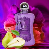 Mùi Hương Nước hoa Afnan Zimaya Fatima Velvet Love