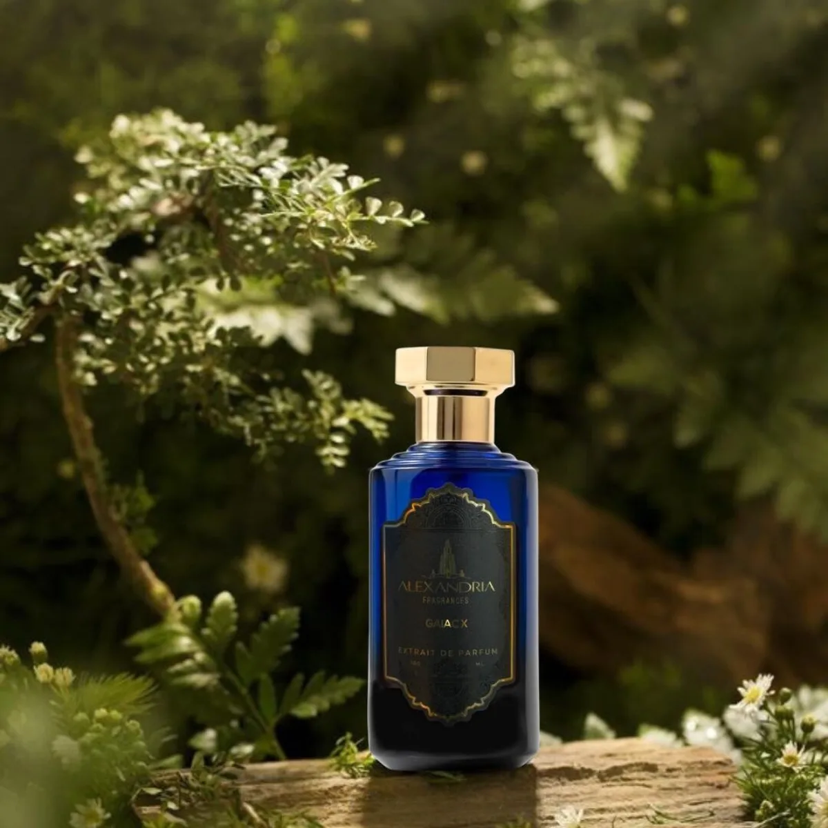 Nước Hoa Alexandria Fragrances Gaiac X