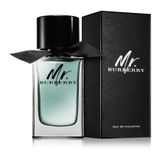 Nước hoa chính hãng Burberry Mr Burberry EDT 100ml