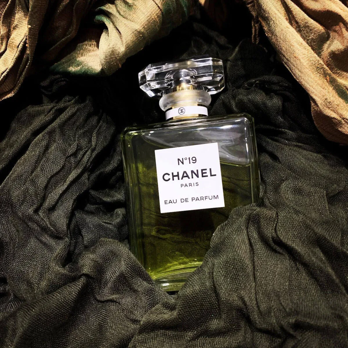 Nước Hoa Chính Hãng Chanel No 19 Eau de Parfum 100ml
