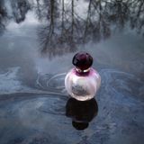 Nước Hoa Dior Pure Poison Eau De Parfum