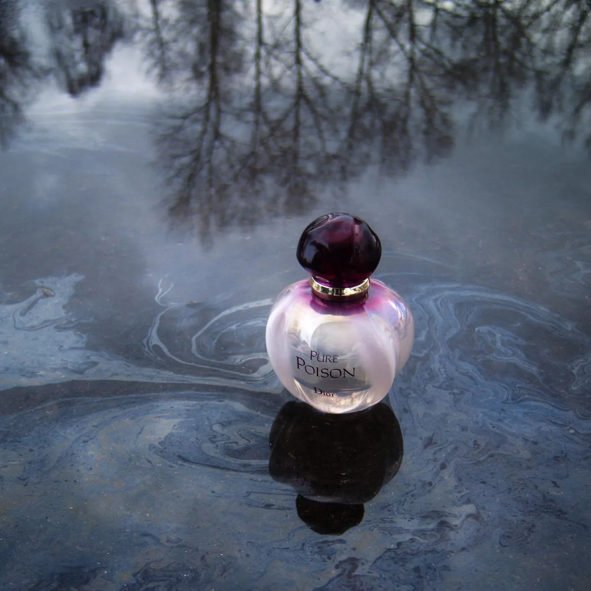 Nước Hoa Dior Pure Poison Eau De Parfum