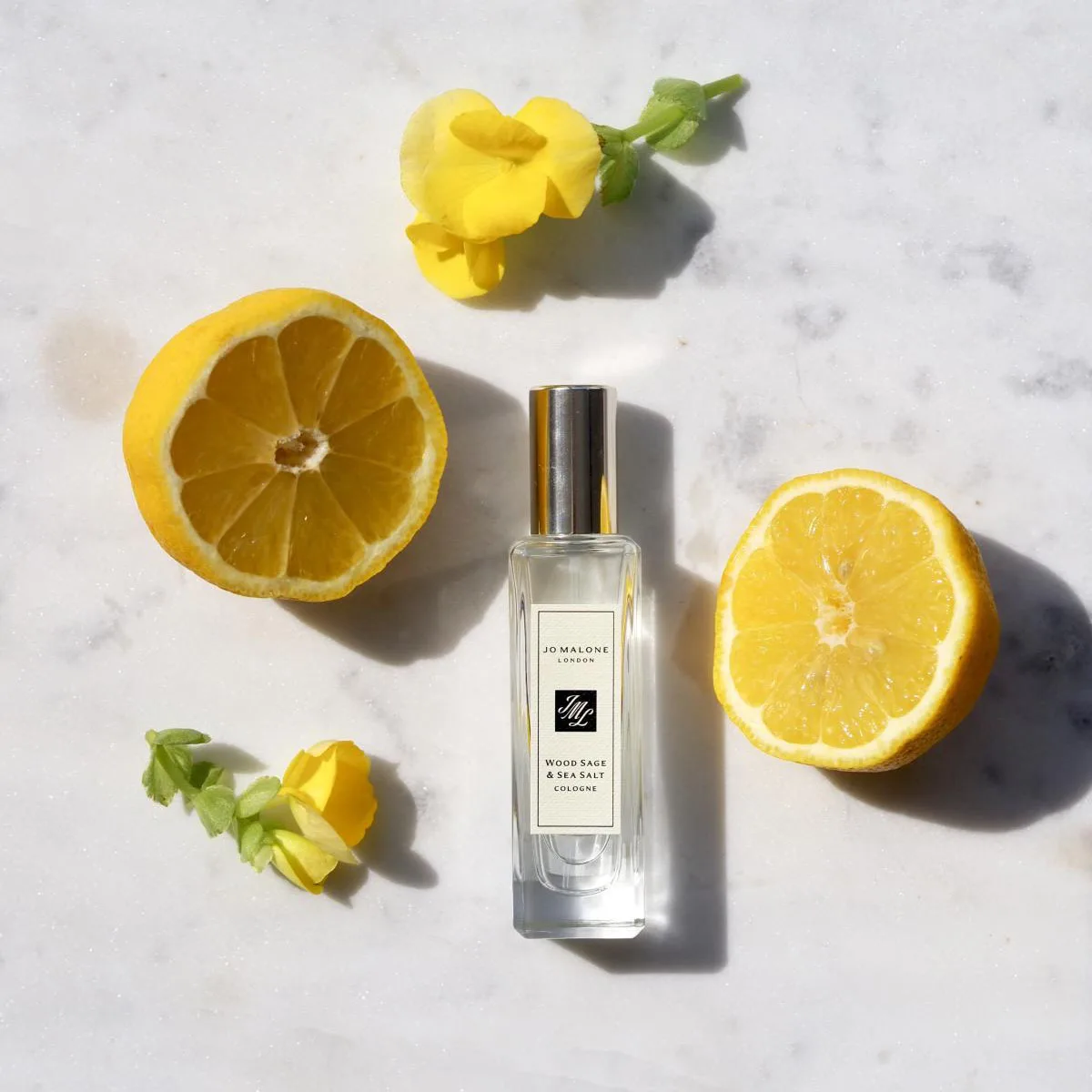 Jo Malone London Wood Sage & Sea Salt