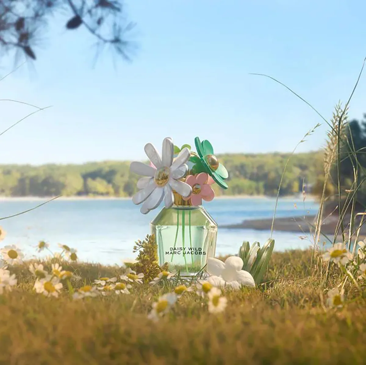 Marc Jacobs Daisy Wild For Her