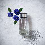 Mercedes Benz Silver Eau de toilette